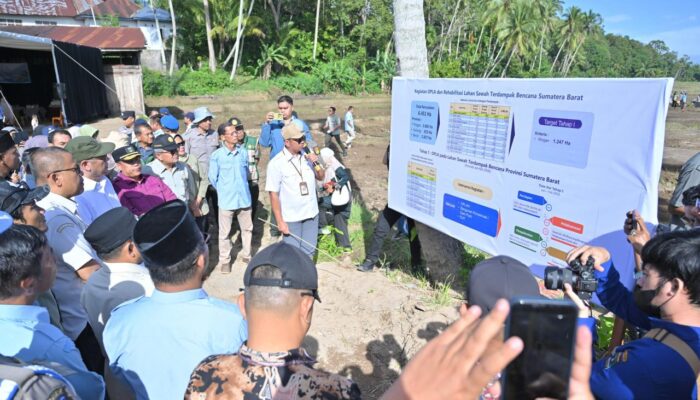 Pemerintah Mulai Lakukan Rehabilitasi Lahan Pertanian Terdampak Bencana di Sumbar