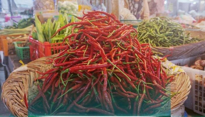 Libur Lebaran Selesai, Harga Komoditas Pokok Ikut Turun di Padang Panjang: Cabai Merah Rp41.000/Kg