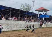 Pacu Kuda Wirabaraja Open: Pengunjung Membeludak, Pelaku UMKM dan Pemilik Tribun Untung