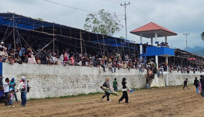 Pacu Kuda Wirabaraja Open: Pengunjung Membeludak, Pelaku UMKM dan Pemilik Tribun Untung