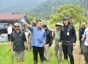 Rehabilitasi dan Pemulihan Lahan Pertanian di Agam, Sekjen Kementan RI: Minimal 10 Alat Berat Diturunkan!