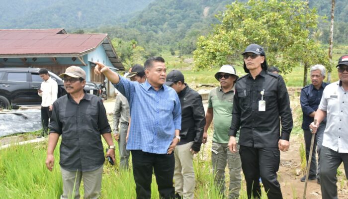 Rehabilitasi dan Pemulihan Lahan Pertanian di Agam, Sekjen Kementan RI: Minimal 10 Alat Berat Diturunkan!