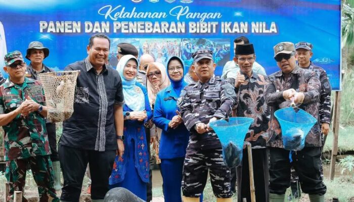 Wako Hendri Arnis dan TNI Panen 1,5 Ton Ikan Nila di Pariaman, Perkuat Ketahanan Pangan 2026
