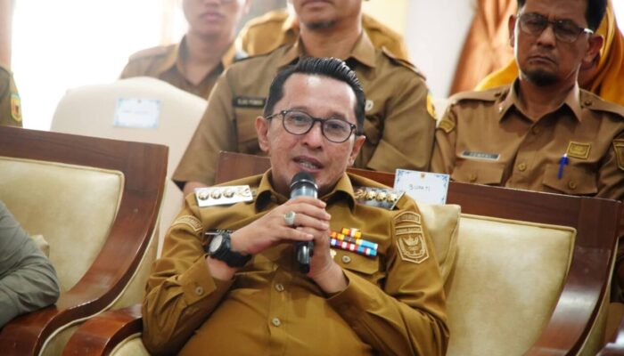 Bawa Istano Basa Pagaruyung ke Panggung Dunia, Tanah Datar Targetkan Lonjakan Wisman