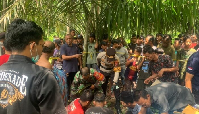 Jumat Berdarah di Nagari Sikabau: Paman Temukan Ponakan Tak Bernyawa di Kebun Sawit