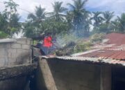 Dihantam Cuaca Ekstrem, Pohon Durian Besar Timpa Rumah Warga di Lubuk Kilangan