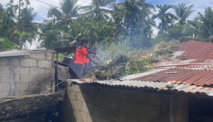 Dihantam Cuaca Ekstrem, Pohon Durian Besar Timpa Rumah Warga di Lubuk Kilangan