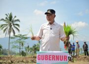 Sumbar Siaga Kekeringan: Mahyeldi Turun ke Sawah, Targetkan Panen Raya Agustus