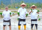 3.902 Hektare Lahan Terdampak Bencana di Sumbar Selesai Direhabilitasi, Petani Siap Tanam Serentak