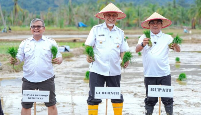 3.902 Hektare Lahan Terdampak Bencana di Sumbar Selesai Direhabilitasi, Petani Siap Tanam Serentak