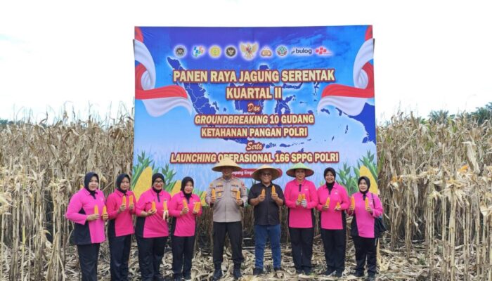Hadiri Panen Raya Bersama Presiden, Bupati Yulianto Tegaskan Pasbar Siap Swasembada Pangan