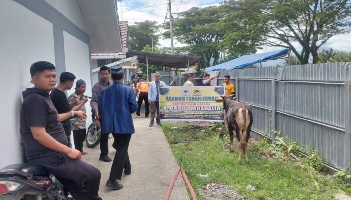 Senyum Lebaran Warga Huntara Lubuk Buaya, Dapat Jatah 3 Sapi Kurban!