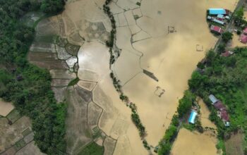 Tanah Datar Darurat Banjir Bandang: 60 Jiwa Terjebak di Saruaso, Akses Bukit Putuih Lumpuh Total