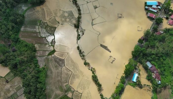 Tanah Datar Darurat Banjir Bandang: 60 Jiwa Terjebak di Saruaso, Akses Bukit Putuih Lumpuh Total