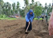 Sinergi PKK Agam dan Rutan Maninjau, Sulap Lahan Yonif 897 Jadi Lumbung Pangan