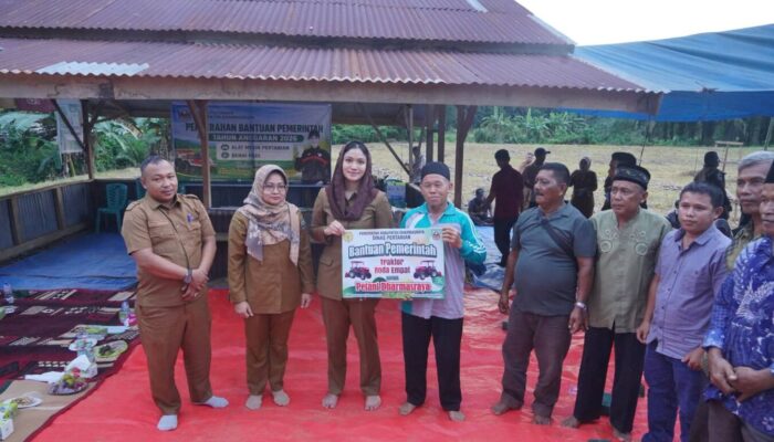 Perkuat Pangan, Pemkab Dharmasraya Salurkan 14 Traktor dan 96 Ton Benih Padi