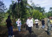 Isu Tebang Pohon Sengon Demi Cuan Dibantah, DLH Pasbar: Murni Revitalisasi Hutan Kota!