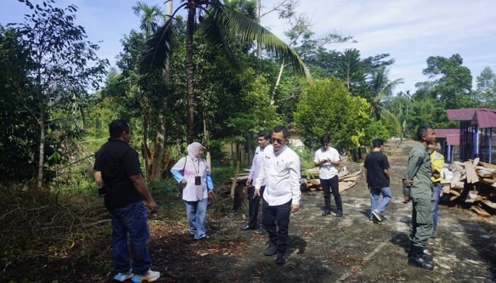 Isu Tebang Pohon Sengon Demi Cuan Dibantah, DLH Pasbar: Murni Revitalisasi Hutan Kota!