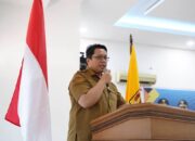 Bencana Lewat, Kreativitas Melesat: NCH Jadi Senjata Baru Pemkab Tanah Datar
