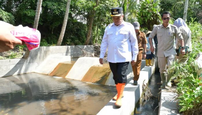 Antisipasi Anomali Iklim, Bupati Agam Benni Warlis Cek Pembangunan Dam Irigasi Simarasok