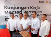Dukung B50 dan Ketahanan Pangan, PTPN IV PalmCo Perkuat PSR, Serap 1,73 Juta Ton TBS Petani