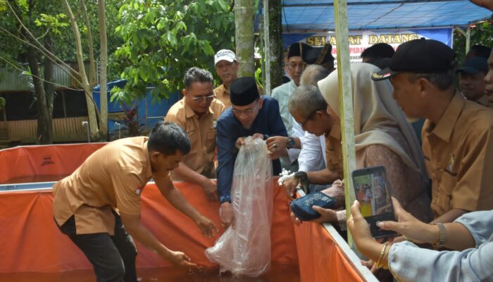 Wawako Padang Maigus Nasir Jadikan Budidaya Lele TTC Proyek Percontohan El Nino