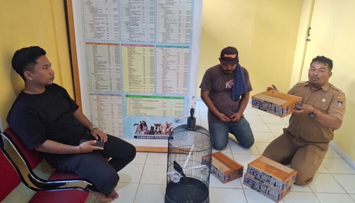 Puskeswan Nanggalo Padang Hadirkan Vaksin Rabies Gratis dan Layanan Digital, Warga dan Pemilik Petshop Puas!