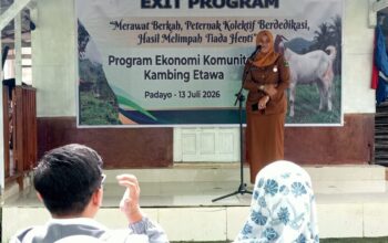 UPZ Baznas Semen Padang Tuntaskan Program Kambing Etawa di Padayo
