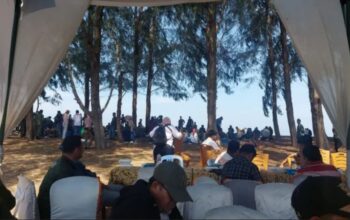 Hari Mangrove Sedunia 2026: Pemkab Pesisir Selatan Perkuat Konservasi Ampiang Parak