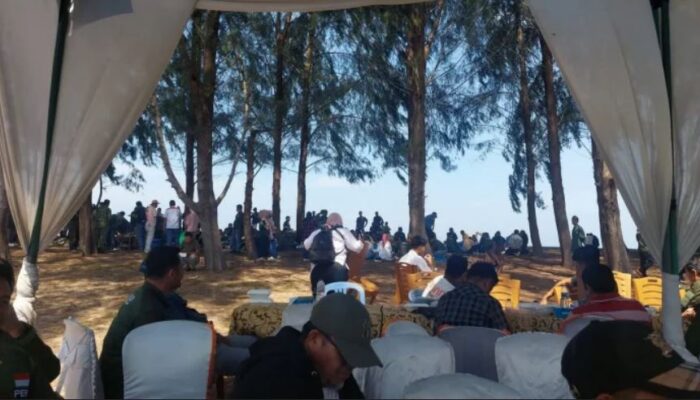 Hari Mangrove Sedunia 2026: Pemkab Pesisir Selatan Perkuat Konservasi Desa Wisata Ampiang Parak