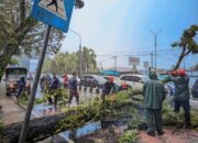 Cuaca Ekstrem Padang Hari Ini: BMKG Beri Peringatan Dini Hujan Lebat dan Angin Kencang