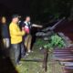 Badai Mengamuk di Limapuluh Kota: Puluhan Rumah Rusak di Dua Nagari, Seorang IRT Terluka
