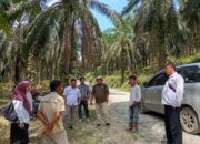 Jalan Taratak Tinggi Dharmasraya Segera Diaspal, Sukses Kolaborasi APBD Rp3,96 M dan CSR