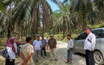 Jalan Taratak Tinggi Dharmasraya Segera Diaspal, Sukses Kolaborasi APBD Rp3,96 M dan CSR