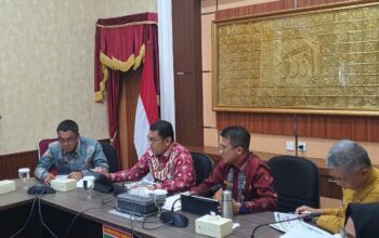 Trans Paliko Jadi Ikon Baru Sumbar, Payakumbuh Siapkan 13 Angkutan Listrik Terintegrasi