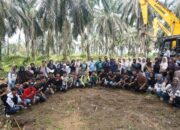 Kabar Baik Petani Sawit Dharmasraya! Pemkab Geber PSR Tahap III Rp60 Juta Per Hektare Ditambah Beasiswa Anak Petani