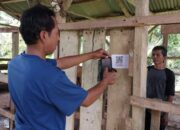 Dharmasraya Luncurkan SIDIK TERNAK, Pantau Hewan Cukup Scan QR Code