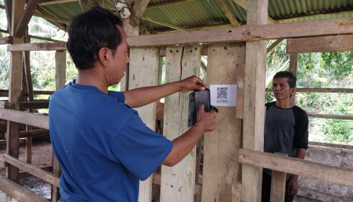 Dharmasraya Luncurkan SIDIK TERNAK, Pantau Hewan Cukup Scan QR Code