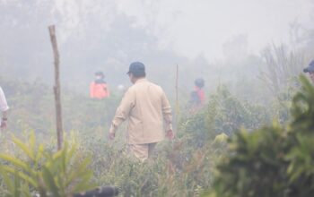 Tiba di Kalbar, Presiden Prabowo Langsung Pimpin Penanganan Karhutla dan Tinjau Lokasi Kebakaran