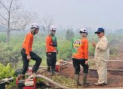 Asap Karhutla Melintas Batas, BNPB Minta Negara Tetangga Tak Saling Menyalahkan