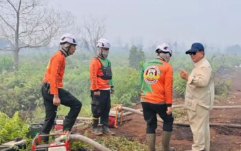 Asap Karhutla Melintas Batas, BNPB Minta Negara Tetangga Tak Saling Menyalahkan