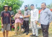Rumah Warga Muaro Sijunjung Rusak Parah Ditimpa Pohon Tumbang, Plt Bupati Salurkan Bantuan