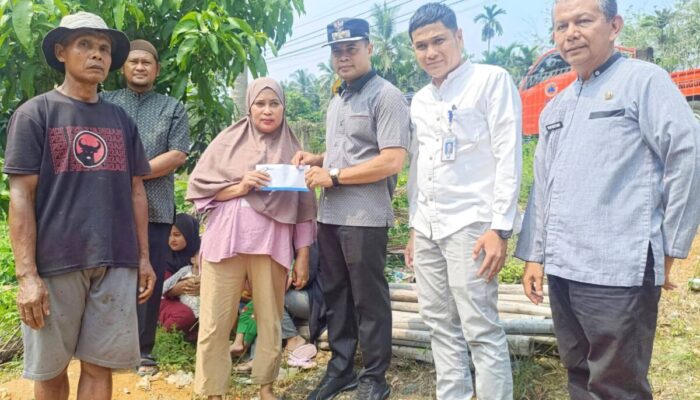 Hujan Deras dan Angin Kencang di Sijunjung, Pohon Tumbang Timpa Rumah Warga hingga Rusak Parah