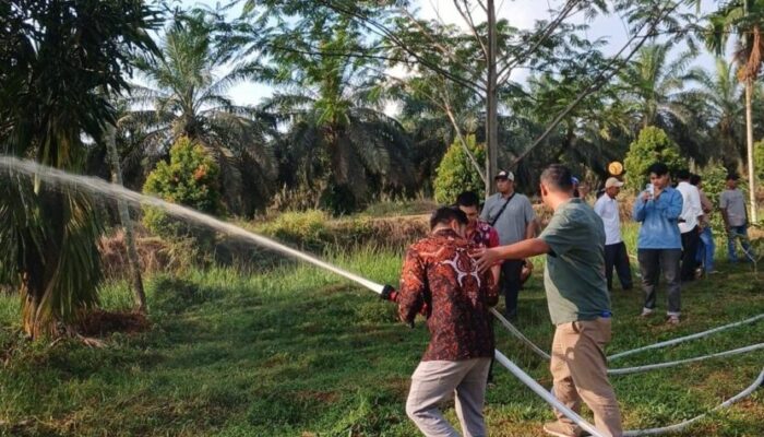 Lebih dari Sekadar Edukasi, PTPN IV Regional IV Bangun Embung Strategis Tangkal Karhutla di Tanjab Timur