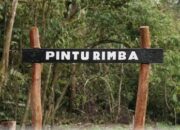 Pecahkan Rekor! Komunitas Beyond Run Taklukkan Gunung Kerinci via Solsel Hanya 30 Jam