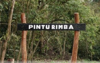 Pecahkan Rekor! Komunitas Beyond Run Taklukkan Gunung Kerinci via Solsel Hanya 30 Jam