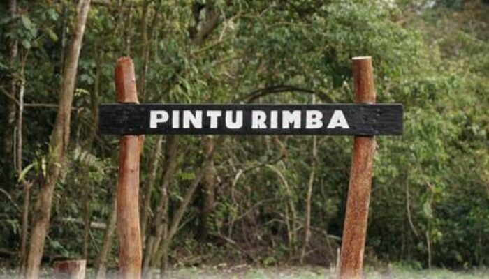 Pecahkan Rekor! Komunitas Beyond Run Taklukkan Gunung Kerinci via Solsel Hanya 30 Jam