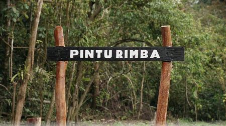 Pecahkan Rekor! Komunitas Beyond Run Taklukkan Gunung Kerinci via Solsel Hanya 30 Jam