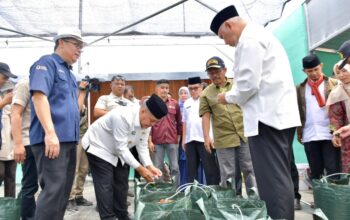 Screenhouse Rp472 Juta untuk Petani Milenial Agam, Didorong Jadi Percontohan Cabai Modern