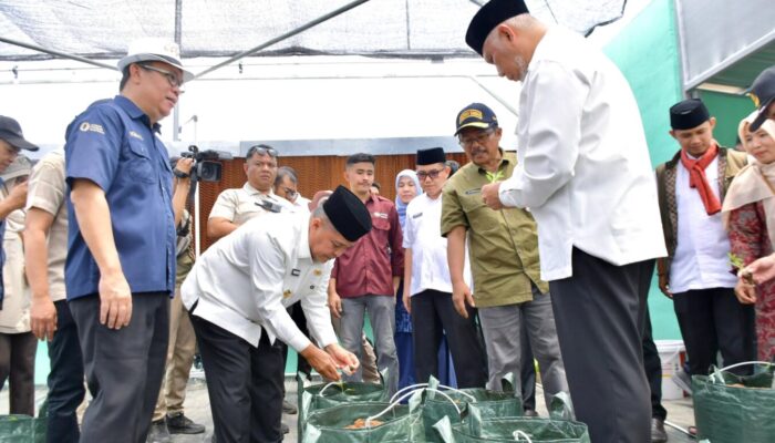 Screenhouse Rp472 Juta untuk Petani Milenial Agam, Didorong Jadi Percontohan Cabai Modern